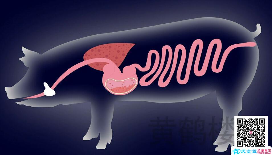 動漫廣告制作虛實結(jié)合,拓展廣告創(chuàng)意空間.jpg 動漫廣告制作虛實結(jié)合,拓展廣告創(chuàng)意空間.jpg