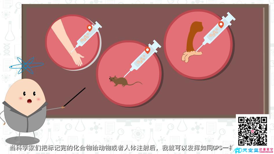 《分子影像》MG動(dòng)畫科普視頻制作b.jpg