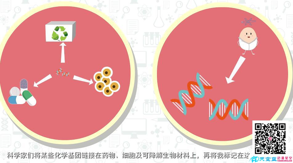 《分子影像》MG動(dòng)畫科普視頻制作a.jpg