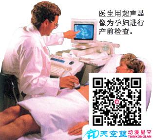 為什么B超能診斷疾?。?jpg
