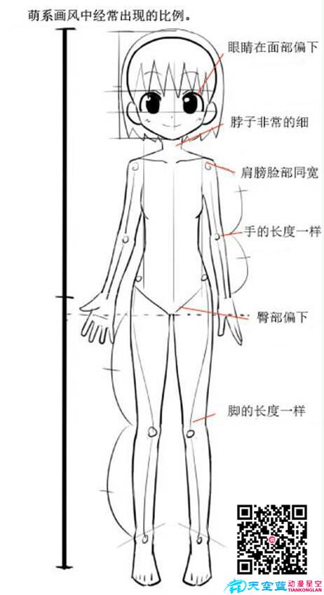 動漫人體比例.jpg 動漫人體比例.jpg