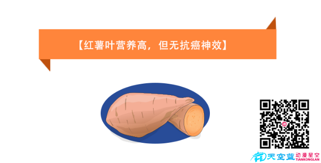 《紅薯葉營養(yǎng)高，但無抗癌神效》健康醫(yī)療知識(shí)科普.png