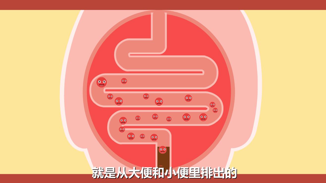 新生兒黃疸怎么退的快？膽紅素跟隨大小便排除體外.jpg