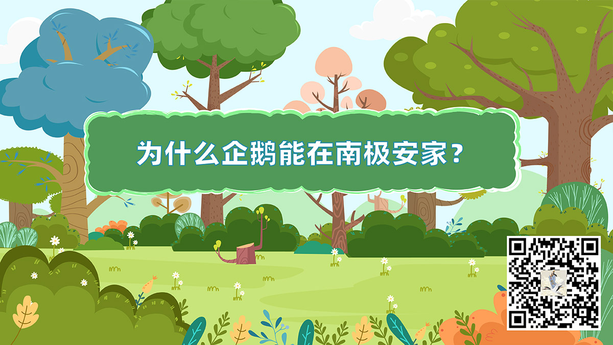 十萬(wàn)個(gè)為什么動(dòng)物篇封面(企鵝)二維碼-01.jpg 十萬(wàn)個(gè)為什么動(dòng)物篇封面(企鵝)二維碼-01.jpg