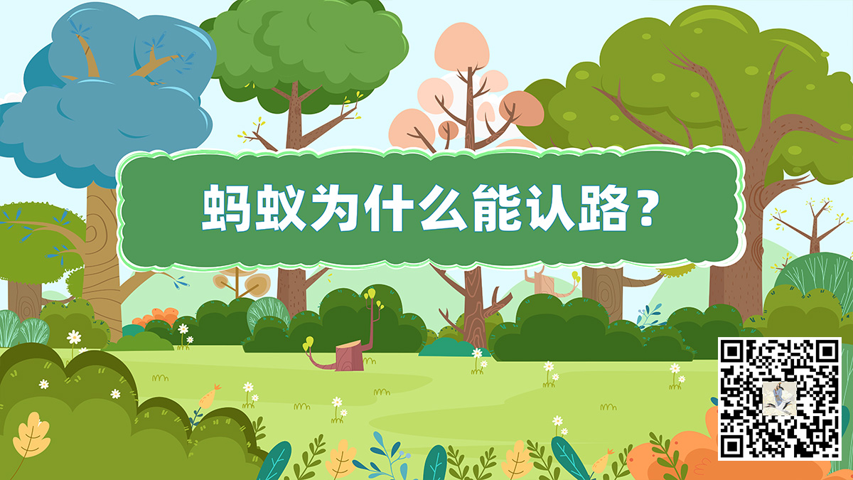螞蟻為什么能認(rèn)路.jpg 螞蟻為什么能認(rèn)路.jpg