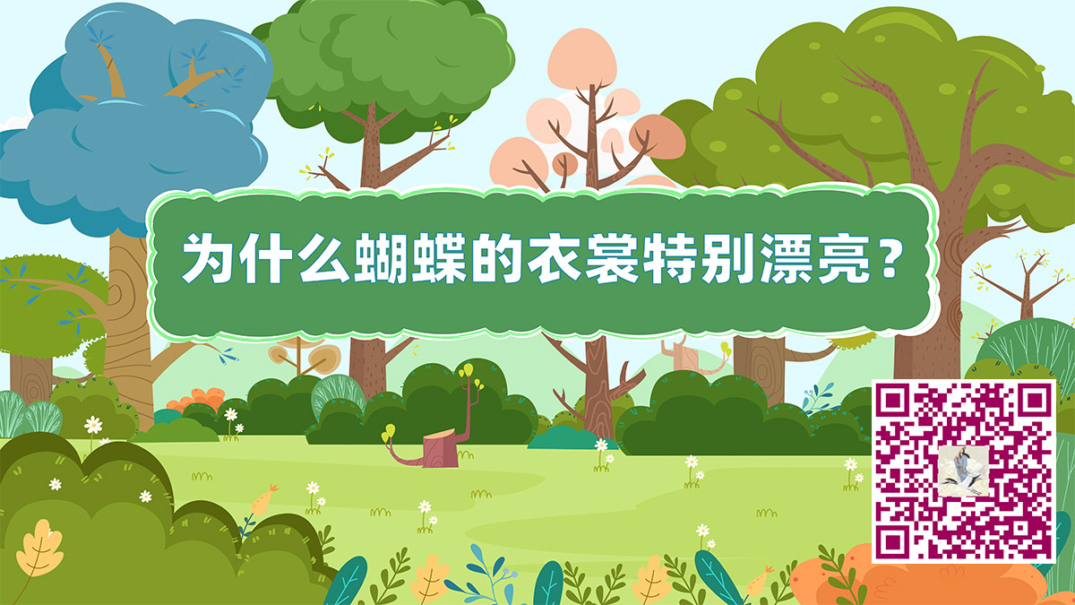蝴蝶衣裳二維碼.jpg 蝴蝶衣裳二維碼.jpg
