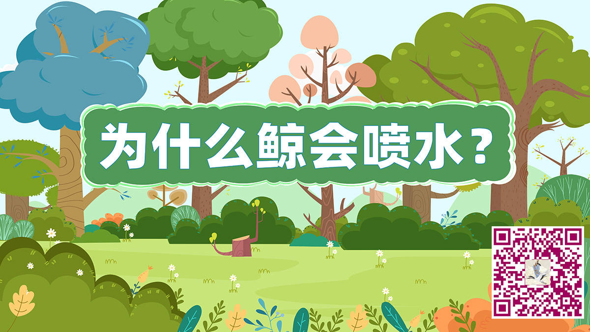 為什么鯨會(huì)噴水二維碼.jpg 為什么鯨會(huì)噴水二維碼.jpg