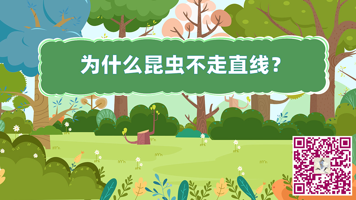 昆蟲(chóng)不走直線二維碼.jpg 昆蟲(chóng)不走直線二維碼.jpg