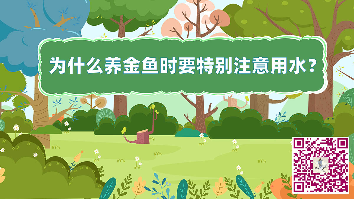 養(yǎng)金魚用水二維碼.jpg 養(yǎng)金魚用水二維碼.jpg