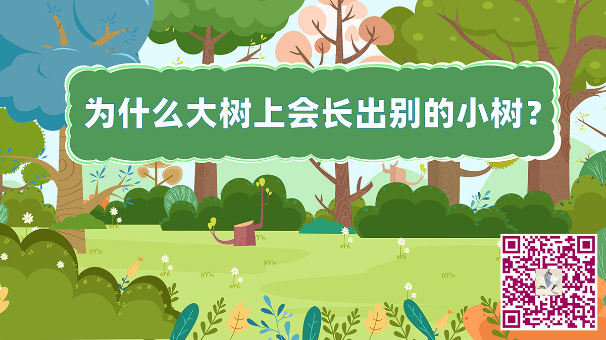 大樹長(zhǎng)小樹二維碼.jpg 大樹長(zhǎng)小樹二維碼.jpg