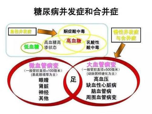 黃鶴樓動(dòng)漫 黃鶴樓動(dòng)漫