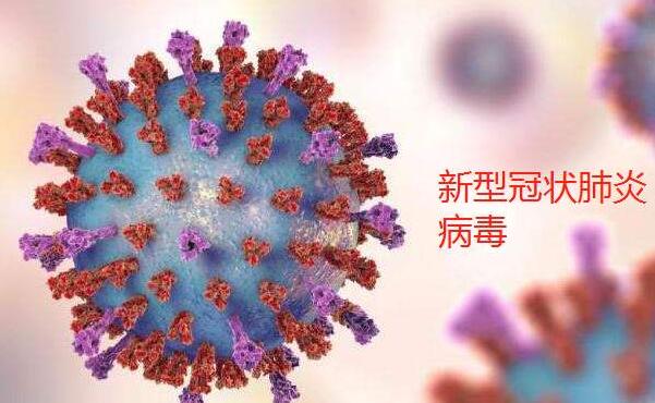 預防控制新型冠狀病毒肺炎：病毒最多存活幾天？.jpg