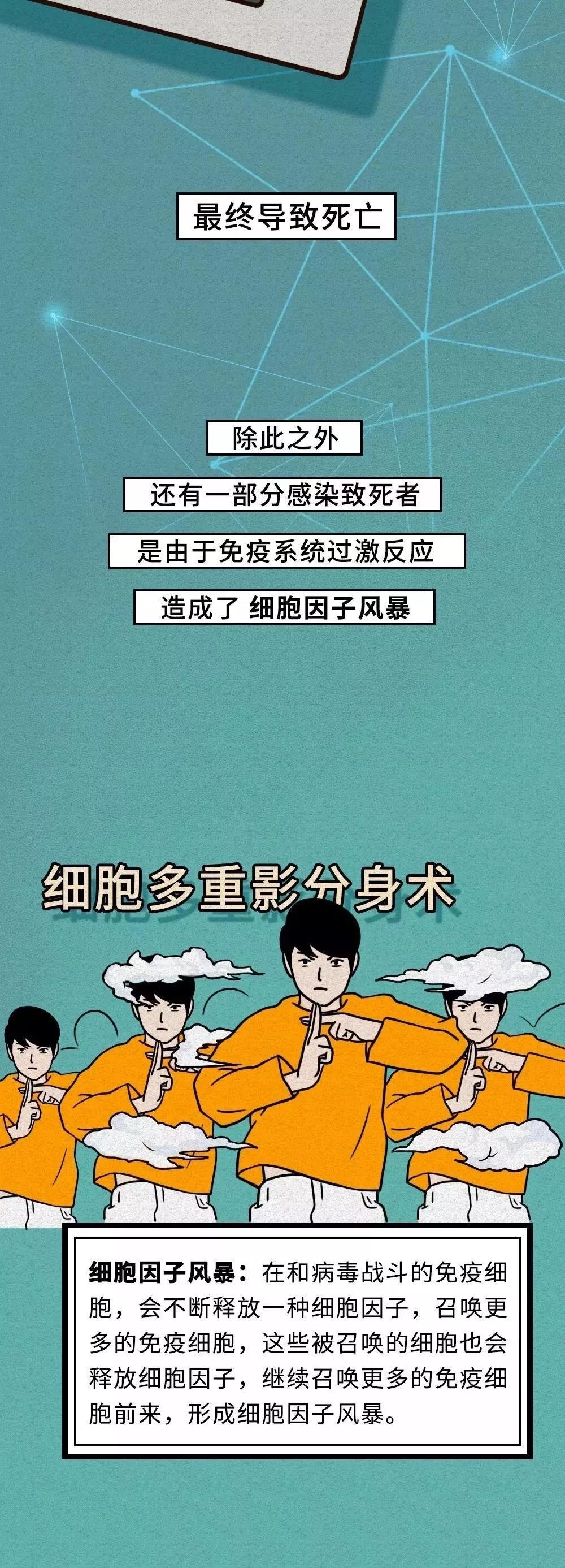 面對(duì)新型冠狀病毒人體免疫過(guò)激反應(yīng).jpg