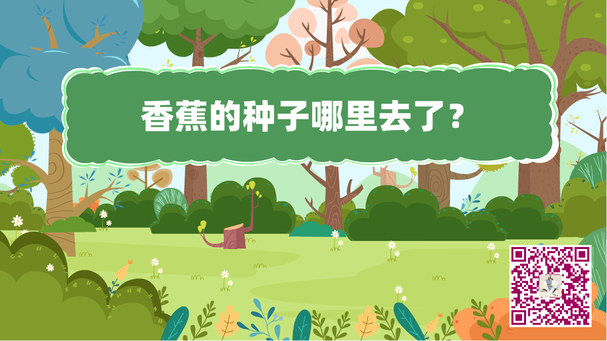 十萬個(gè)為什么標(biāo)題(香蕉的種子)1200.png 十萬個(gè)為什么標(biāo)題(香蕉的種子)1200.png