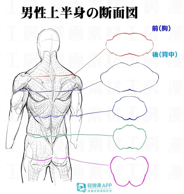 黃鶴樓動(dòng)漫 黃鶴樓動(dòng)漫