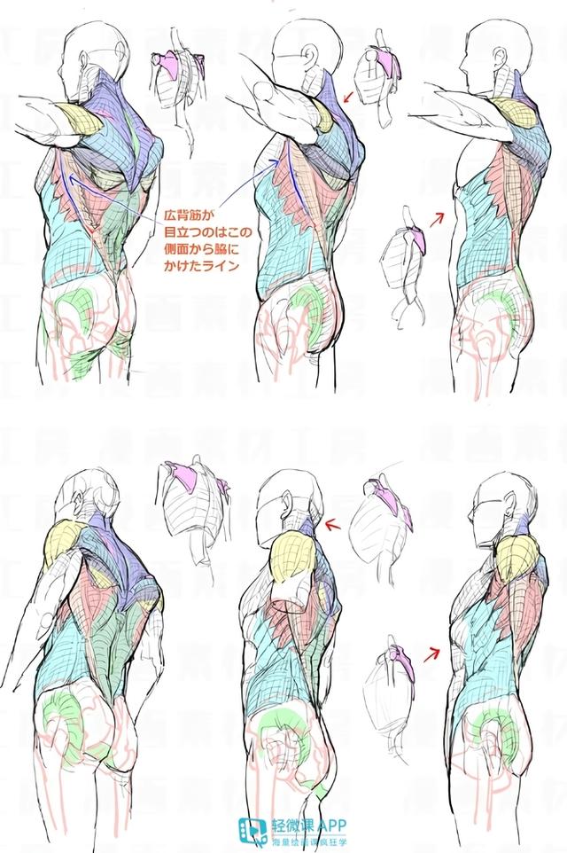 黃鶴樓動(dòng)漫 黃鶴樓動(dòng)漫