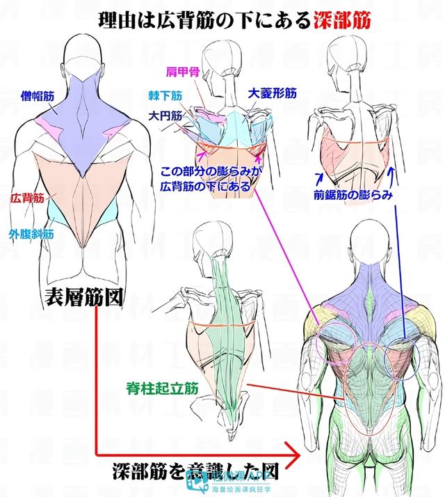 黃鶴樓動(dòng)漫 黃鶴樓動(dòng)漫