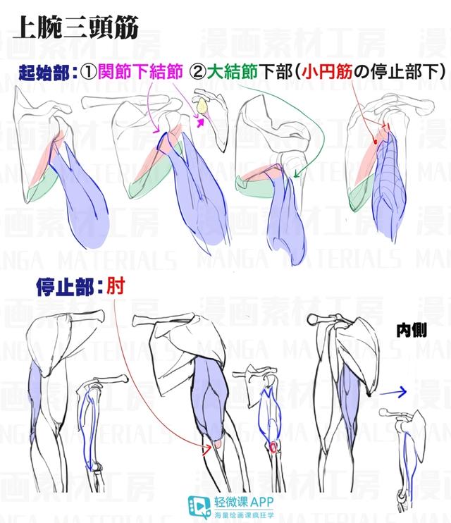 黃鶴樓動漫 黃鶴樓動漫