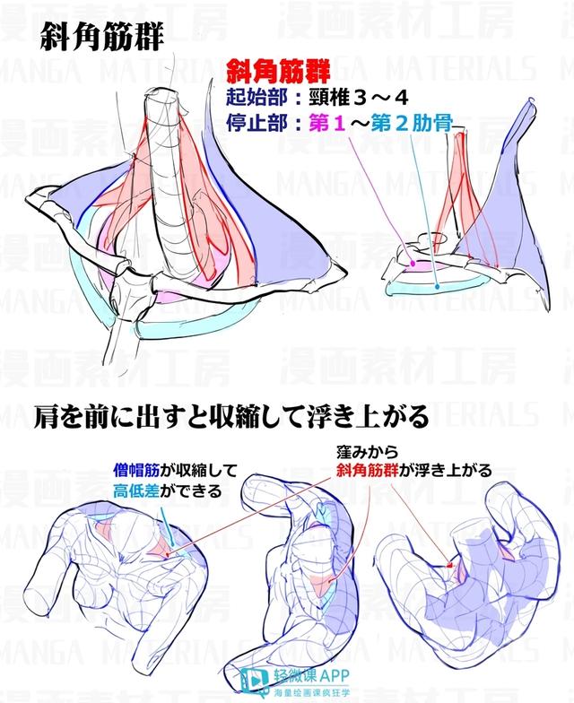 黃鶴樓動漫 黃鶴樓動漫