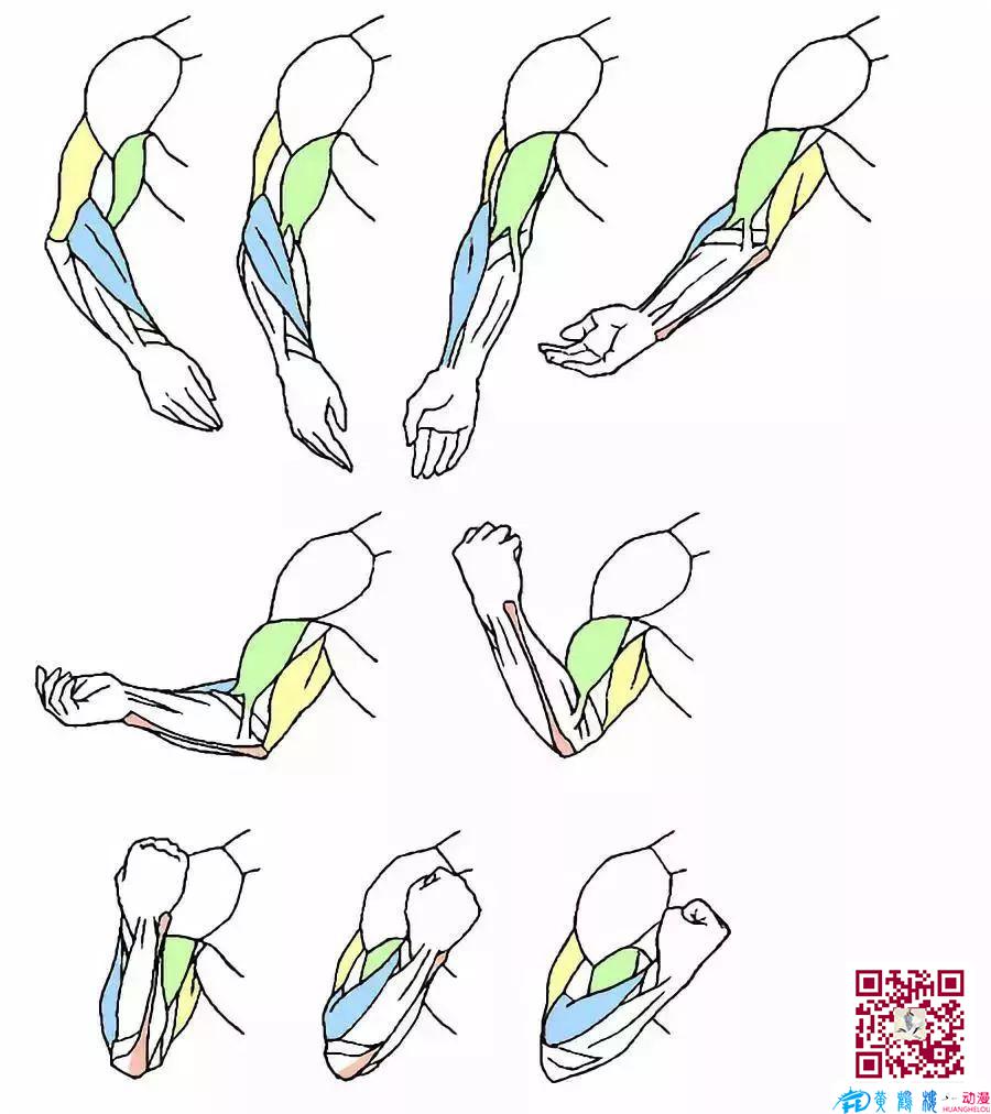 黃鶴樓動(dòng)漫 黃鶴樓動(dòng)漫