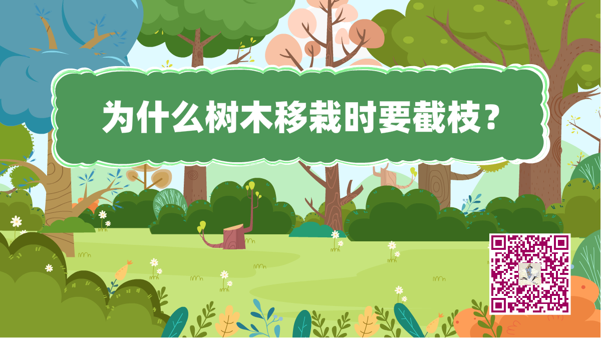 十萬(wàn)個(gè)為什么標(biāo)題(樹(shù)木移栽時(shí)要截枝)1200.png 十萬(wàn)個(gè)為什么標(biāo)題(樹(shù)木移栽時(shí)要截枝)1200.png
