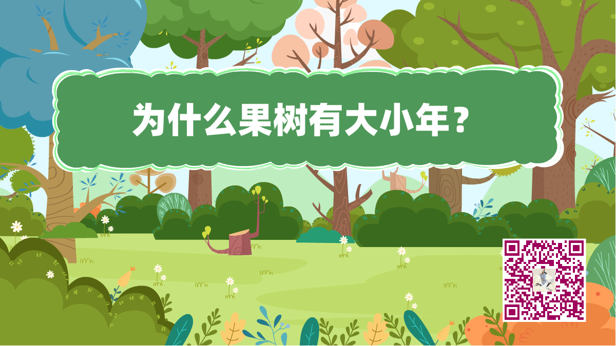 十萬個(gè)為什么標(biāo)題(果樹大小年)1200.png 十萬個(gè)為什么標(biāo)題(果樹大小年)1200.png