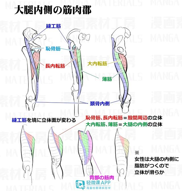 黃鶴樓動(dòng)漫 黃鶴樓動(dòng)漫