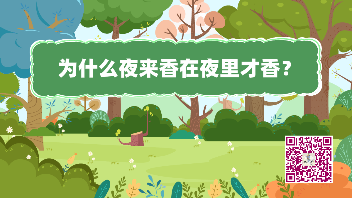 十萬(wàn)個(gè)為什么標(biāo)題(夜來(lái)香)1200.png 十萬(wàn)個(gè)為什么標(biāo)題(夜來(lái)香)1200.png
