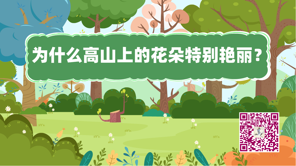 十萬個(gè)為什么標(biāo)題(高山花朵)1200.png 十萬個(gè)為什么標(biāo)題(高山花朵)1200.png