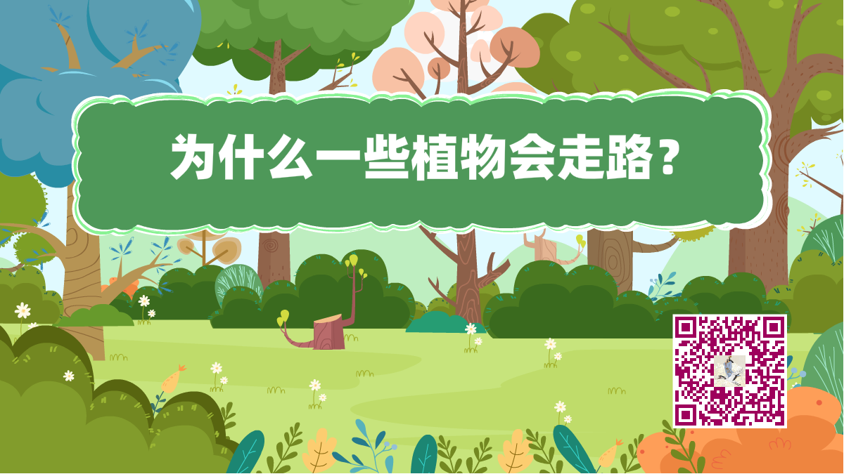 十萬個為什么標題(植物走路)1200.png 十萬個為什么標題(植物走路)1200.png