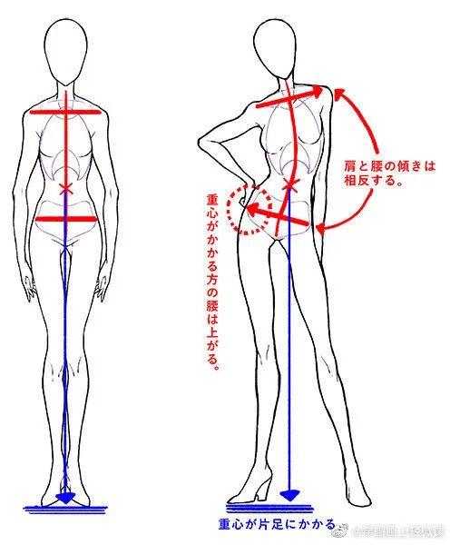 人體動(dòng)勢(shì)線與姿勢(shì)參考，學(xué)畫畫收藏不虧