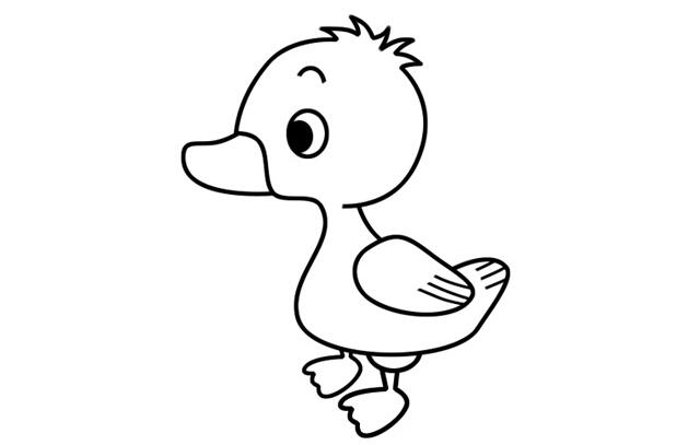 小鴨子簡(jiǎn)筆畫(huà)怎么畫(huà)？鴨子簡(jiǎn)筆畫(huà)的畫(huà)法和步驟.jpg