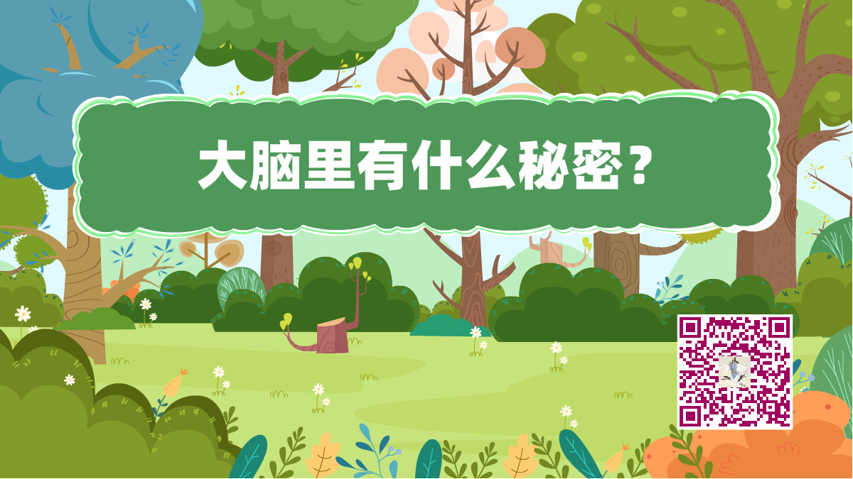 十萬個為什么標題(大腦秘密)1200.png 十萬個為什么標題(大腦秘密)1200.png