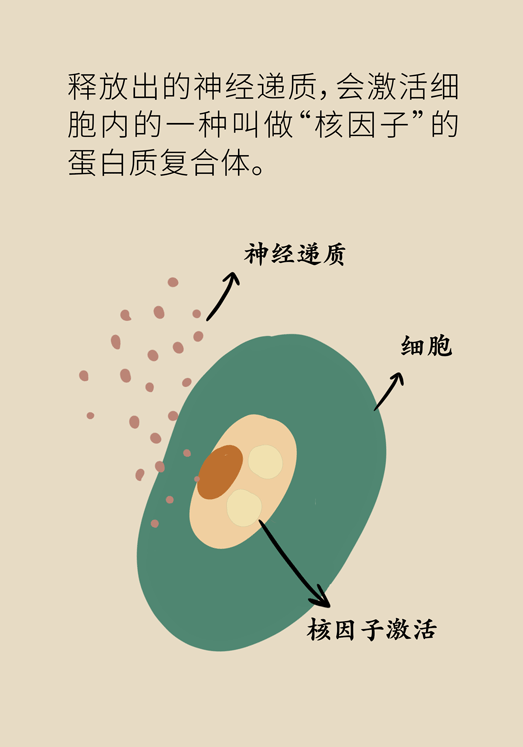 癌癥與睡眠都有那些關(guān)系？