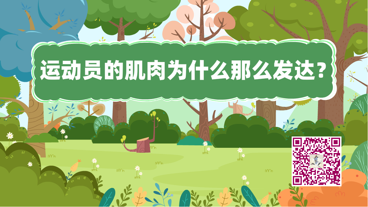 十萬(wàn)個(gè)為什么標(biāo)題(運(yùn)動(dòng)員肌肉發(fā)達(dá))1200.png 十萬(wàn)個(gè)為什么標(biāo)題(運(yùn)動(dòng)員肌肉發(fā)達(dá))1200.png