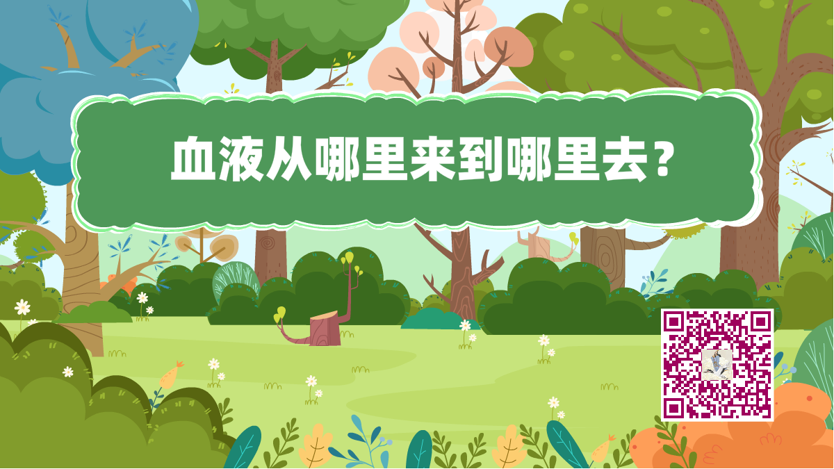十萬個為什么標(biāo)題(血液)1200.png 十萬個為什么標(biāo)題(血液)1200.png
