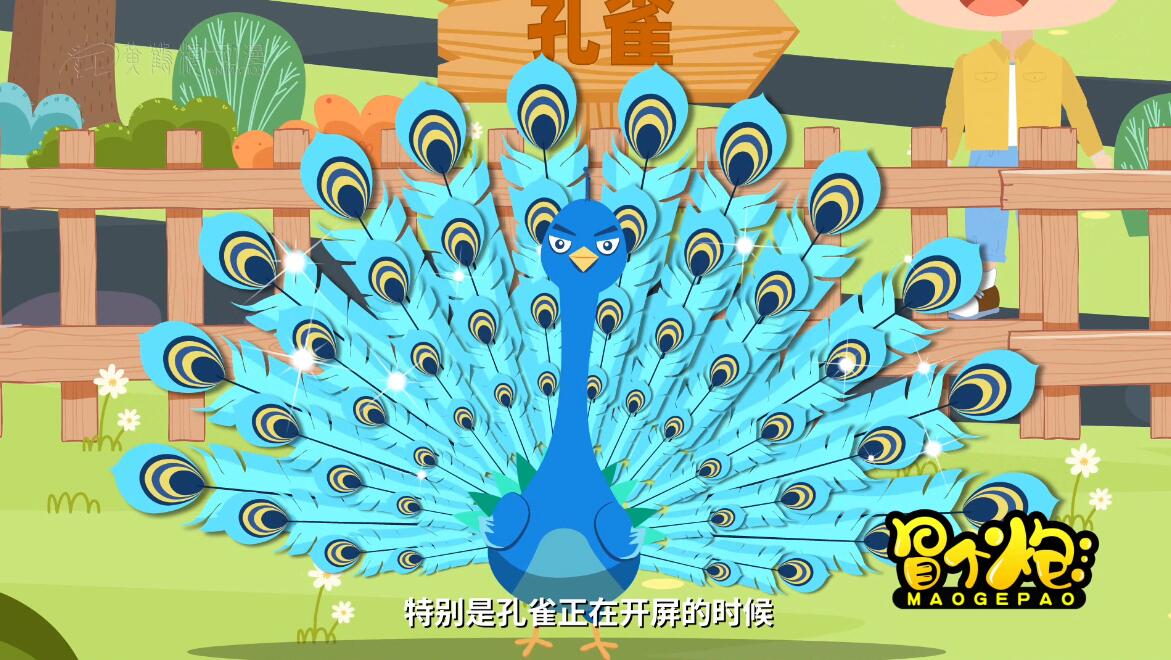 mg動畫制作公司收費情況 mg動畫制作公司收費情況