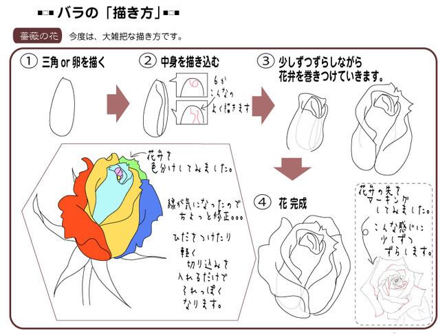 各種花的簡單畫法，一步一步教你畫鮮花