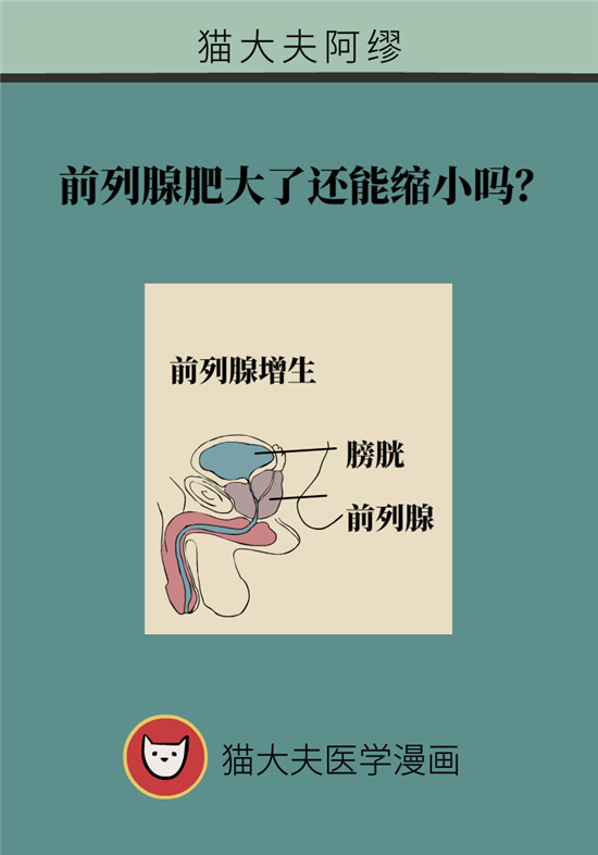 前列腺肥大了還能縮小嗎？