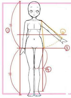 動(dòng)漫女生頭身比怎么畫？動(dòng)漫女生頭身比畫法教程一.jpg