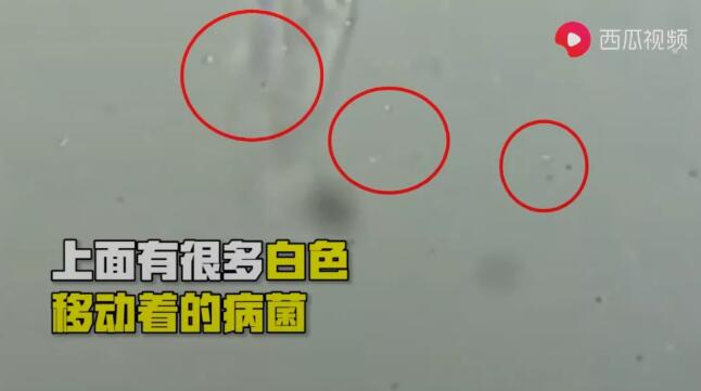 再接著放大到2000倍，可以看到正在口罩上面移動的細(xì)菌。.jpg