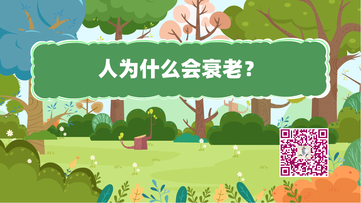 十萬個為什么標題(人衰老)1200.png 十萬個為什么標題(人衰老)1200.png