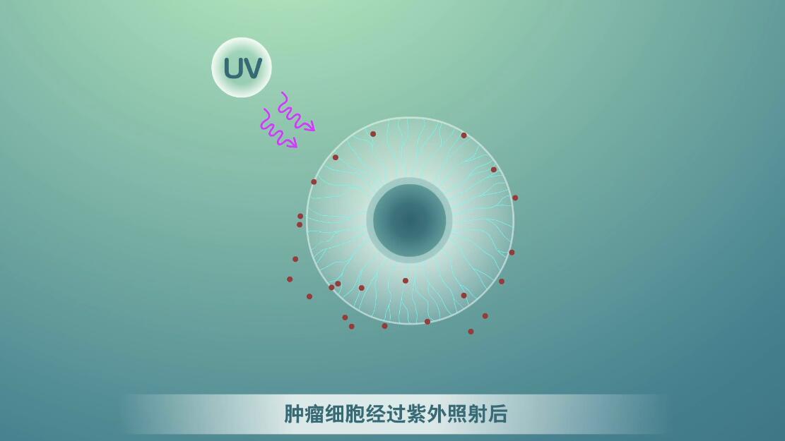 Flash動(dòng)畫(huà)制作《細(xì)胞囊泡生物治療》醫(yī)學(xué)動(dòng)漫宣傳片.jpg Flash動(dòng)畫(huà)制作《細(xì)胞囊泡生物治療》醫(yī)學(xué)動(dòng)漫宣傳片.jpg