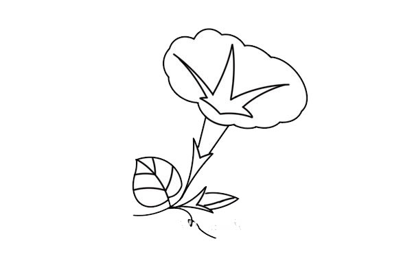 彩色牽牛花簡(jiǎn)筆畫畫法步驟圖片