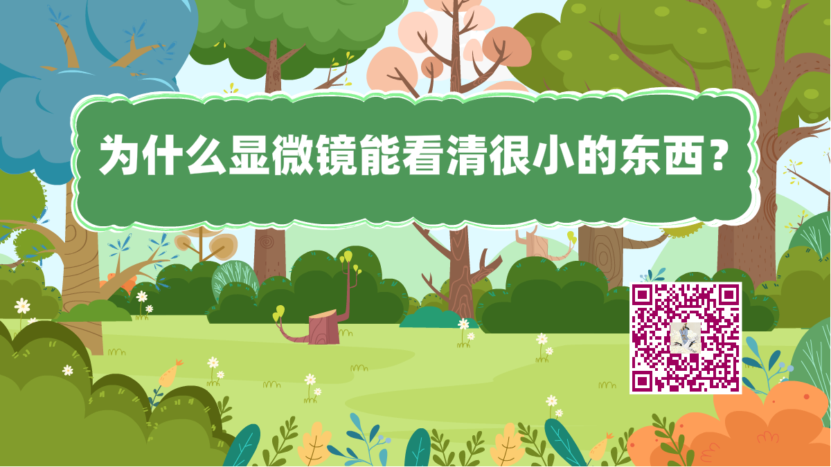 十萬個為什么標題(顯微鏡看很?。?200.png 十萬個為什么標題(顯微鏡看很?。?200.png