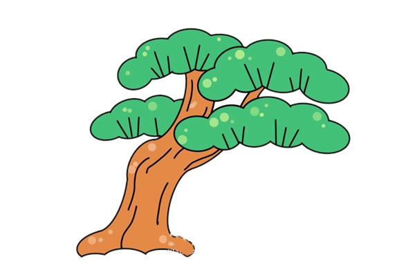 彩色松樹(shù)簡(jiǎn)筆畫(huà)畫(huà)法步驟圖片