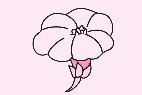 牽?；ê喒P畫圖片
