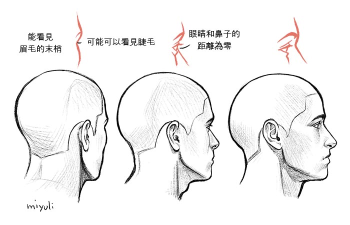 從側(cè)面的狀態(tài)觀看時(shí)，人物轉(zhuǎn)向另一側(cè)後，就只能看見(jiàn)眉毛和睫毛.jpg