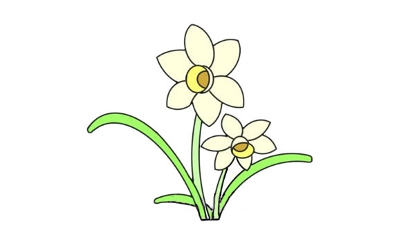水仙花簡筆畫.jpg 水仙花簡筆畫.jpg