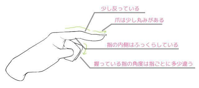 手指，指甲和關(guān)節(jié)的畫(huà)法.jpg